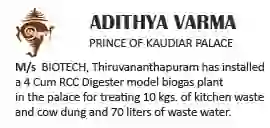 Adithya Varma - Prince of kaudiar palace